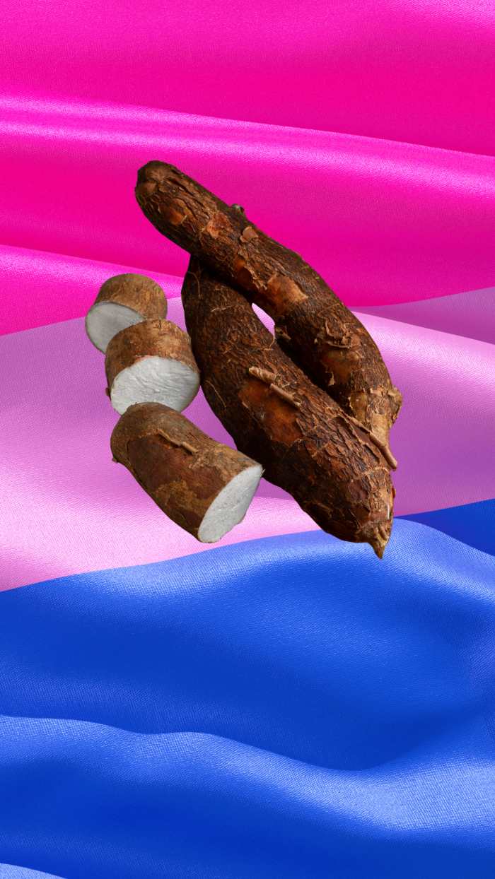 bissexualidade pansexualidade 