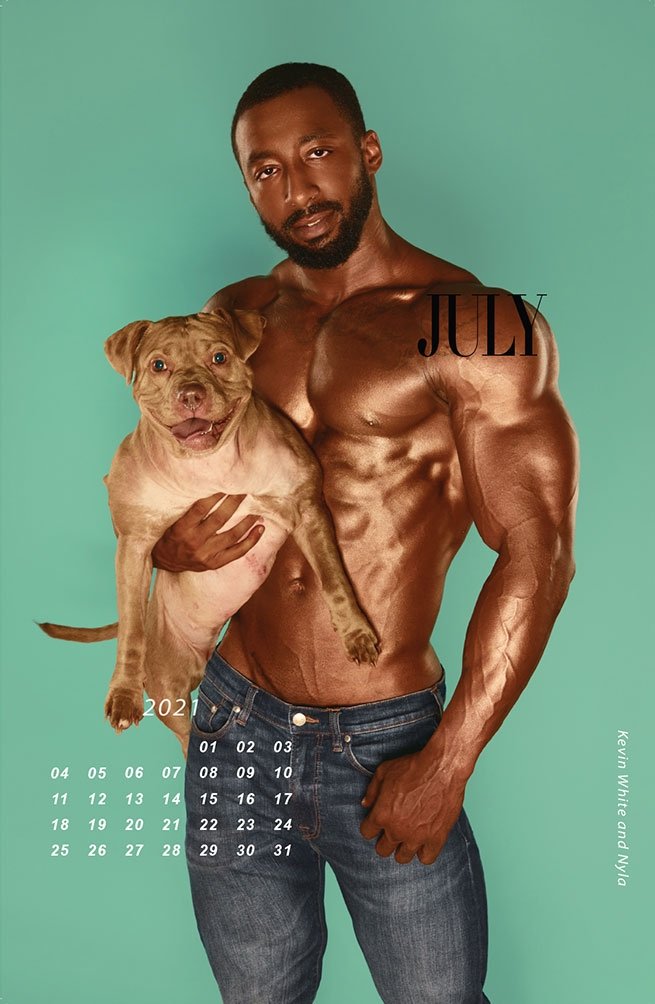 Calendário 2021 gay de homens sarados e musculosos segurando filhotes de pitbull 