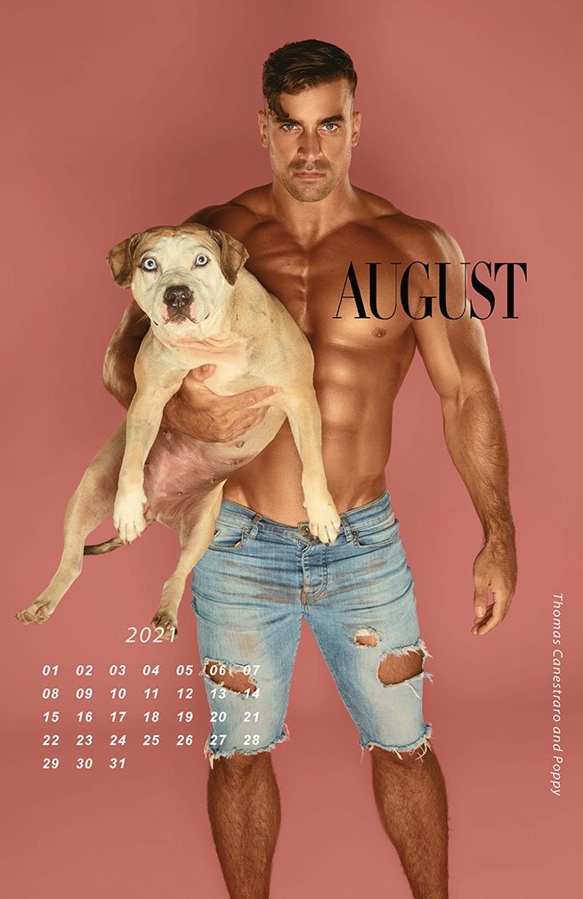 Calendário 2021 gay de homens sarados e musculosos segurando filhotes de pitbull 
