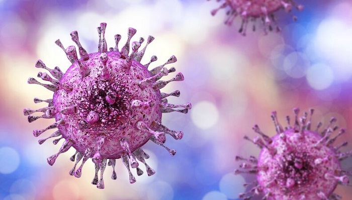 Herpes genital pode ganhar vacina