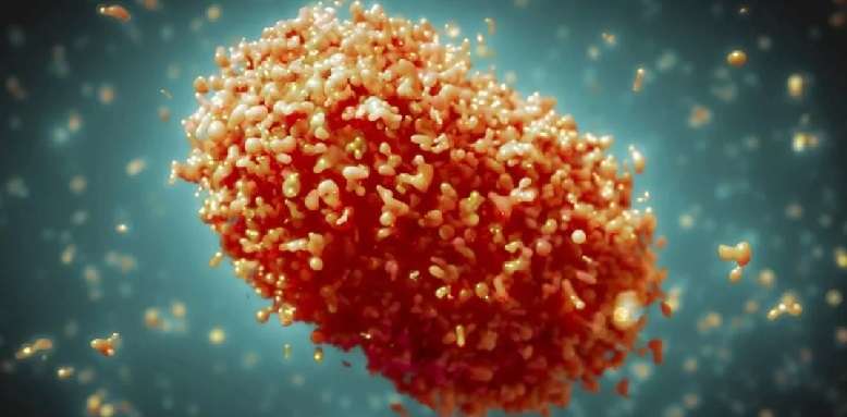 Mpox: varíola dos macacos é mais mortal em pessoas com HIV avançado