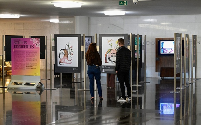 Exposição no Senado tem obras de artistas LGBT