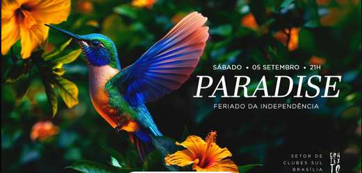 Flyer Imagem