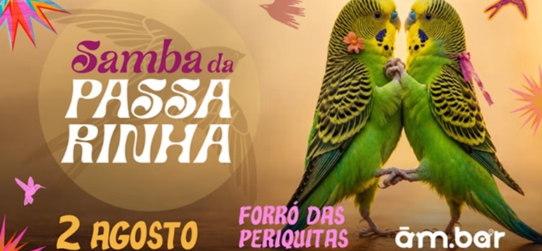Flyer Imagem