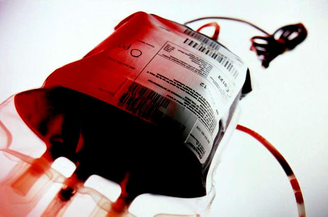 doação sangue gay 