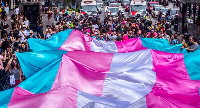 trans antra assassinatos brasil 